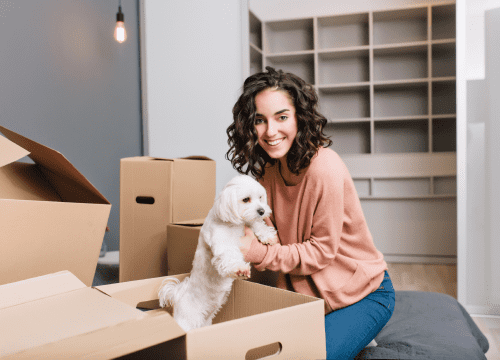 Carefreely arrange logistics of your beloved pets with Etoile!